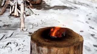 Hollow Log Fire