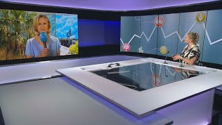 Cannes Film Festival a gamechanger for French directors • FRANCE 24 English