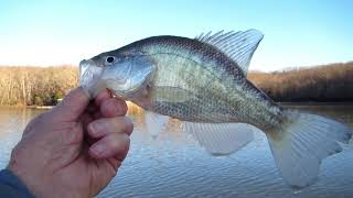 FISH4FUN: A LONG SHORT CRAPPIE FISHING TRIP