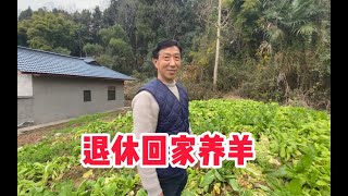 老爸今年出门再干最后1年，明年就回村养羊，愿望终于快要实现了