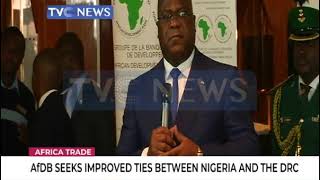 AFDB seeks improved ties between Nigeria and the DRC