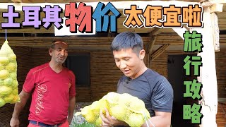 “环球探岛记”土耳其~第17天：在土耳其可以实现吃水果自由！爽！