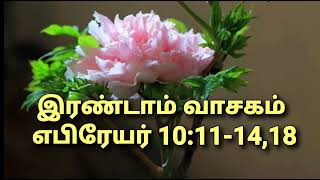 பொதுக்காலம் 33 ஞாயிறு,(17/11/2024),  திருப்பலி முன்னுரை,வாசக முன்னுரைகள், விசுவாசிகள் மன்றாட்டு.