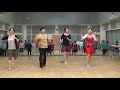 Bosa Nova Beginner Style ( Dance and Teach ) - Line Dance by Irene Groundwater