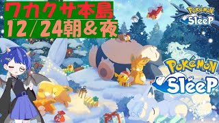 ポケスリ配信🌙12/24 朝＆夜 睡眠リサーチ　ホリデーイベント　ワカクサ本島