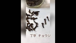 古代染織研究所　丁字（チョウジ）