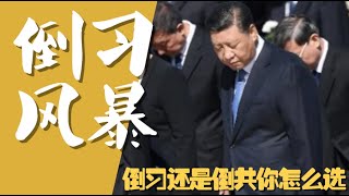 【平凡·周周侃】”打倒习近平“的风暴愈演愈烈。“倒习还是倒共”，百姓应该选哪个？不流血的改良和流血的革命哪个才能救中国？