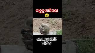 #odianews #comedy #viral #reels #shots #prank #funny #funnyvideos #trending #reels #funnyvideo #art