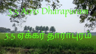 3.5 Acres near Dharapuram for Sale| 3.5 ஏக்கர் தாராபுரம் அருகில்  விற்பனைக்கு|Road base| #9385859767