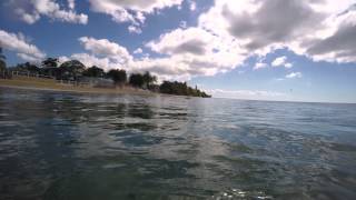 GoPro 4K Resolution - Puerto Rico - Underwater - Ocean