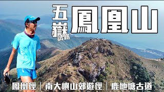 鳳凰山🕊五嶽 鳳凰山站 [行山越野賽活動好介紹]4K 第一次上鳳凰山應該揀呢條路線｜南大嶼山郊遊徑 鹿地塘古道 南山古道｜👍🏼福利👍🏼 報名折扣+免費名額遊戲｜Virtual 越野賽試路