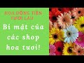 GIỮ HOA TƯƠI LÂU 7 NGÀY-Bí mật cách chọn và se hoa đồng tiền của shop hoa tươi