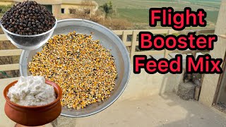 Flight Booster Feed Mix For Racing Pigeons 2025 | Racer Pigeon Speed Formula