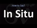 How to Pronounce In Situ? (CORRECTLY)