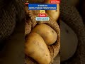 why not store a potato in a fridge shorts youtubeshorts potato