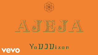 YoDJDixon - Ajeja (Visualizer)