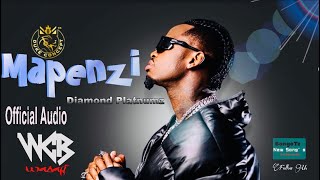 Diamond Platnumz - Mapenzi (Official Audio)