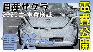 【日産サクラ】2025雪電費検証！0℃で雪でも道が良ければ問題無いじゃん！