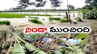 రైతుల పాలిట శాపంగా మారిన ప్రకృతి ప్రకోపం | Farmers Severely Affected by Heavy Rains