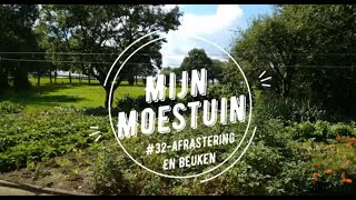 #32-Mijn moestuin, afrastering en beuken