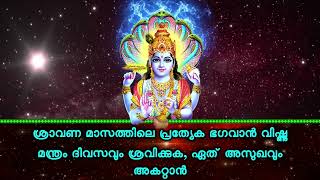 ശ്രാവണ മാസത്തിലെ പ്രത്യേക ഭഗവാൻ വിഷ്ണു മന്ത്രം ദിവസവും ശ്രവിക്കുക, ഏത് അസുഖവും അകറ്റാൻ