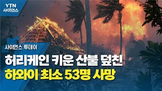 허리케인 키운 산불 덮친 하와이 최소 53명 사망...잿더미로 돌변 / YTN 사이언스