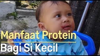 Optimalkan Pertumbuhan \u0026 Kesehatan Si Kecil: Mengenal Manfaat Penting Protein untuk Anak