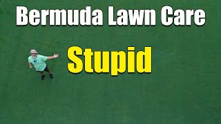 Bermuda Lawn Summer Care - The Stupid Week