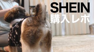 【シーズー】SHEINで冬服買ったので紹介させてください！