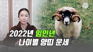 (유명한점집)(띠별운세) 2022년 임인년 🐑양띠 운세!! [점점tv]