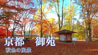 2021年12月1日　京都御苑　秋色の風景