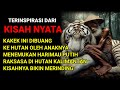 VIRAL!!! KAKEK INI MENEMUKAN HARIMAU PUTIH BESAR DI HUTAN KALIMANTAN!!! KISAH YANG MENGHARUKAN...