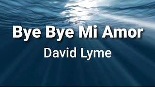 Bye Bye Mi Amor ( lyrics ) 80's Disco - David Lyme