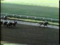 slew o gold 1983 jockey club gold cup cbs