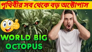 বিশ্বের সবথেকে বড় অক্টোপাস ll যা আপনি প্রথমবার দেখতে চলেছেন ll world big octopus ll 😱😱