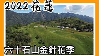 2022年花蓮六十石山金針花季｜Taiwan台灣空拍4K｜CC字幕｜