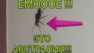 ЁмоооооЁ ! Это Австралия , ребята !!!