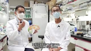 亨廷頓舞蹈症的致病元兇 EP1 | The Culprit of Huntington's Disease