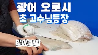 광어 오로시탈피  초 고수님  등장 많이 놀람 끝장탈피력