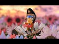 Tkay Maidza - Cashmere (Official Video)