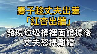 妻子趁丈夫出差“紅杏出牆”，發現垃圾桶裡面的證據後，丈夫怒提離婚！真實故事 ｜都市男女｜情感｜男閨蜜｜妻子出軌｜楓林情感