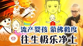 流产婴孩 蒙佛救度 往生净土 度家属亲友游极乐👼（新加坡近期真实故事） | 净本法师 主讲 @plb18