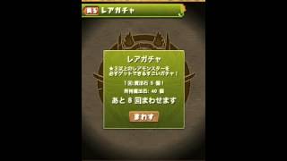 【パズドラ】110万フォロワー突破記念ムラコレ　パンドラ半蔵ほしい