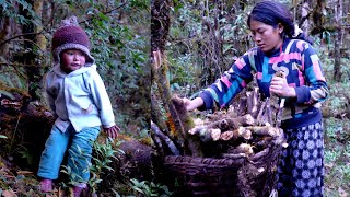 manjita takes some firewood from the near jungle of her shed || shepherd life of Nepal ||