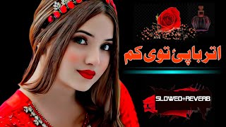 Atar ba pe towy kama |Pashto New Tiktok viral song 2024 | Azhar khan  tiktok songs | slowed + reverb