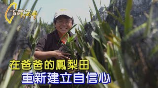 本來覺得自己一事無成的魯蛇人生 在爸爸遺留下來的鳳梨田裡 重新找回自信的人生∣一步一腳印【鳳梨田裡找回自信人生】20240818