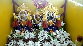 Suna besha of sri jagannath mahaprabhu