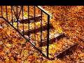 Autumn Leaves - Eric clapton