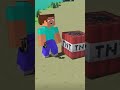 Minecraft Steve #shorts