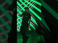 rusina - trzeźwym byc (MEMBERSONLY3)